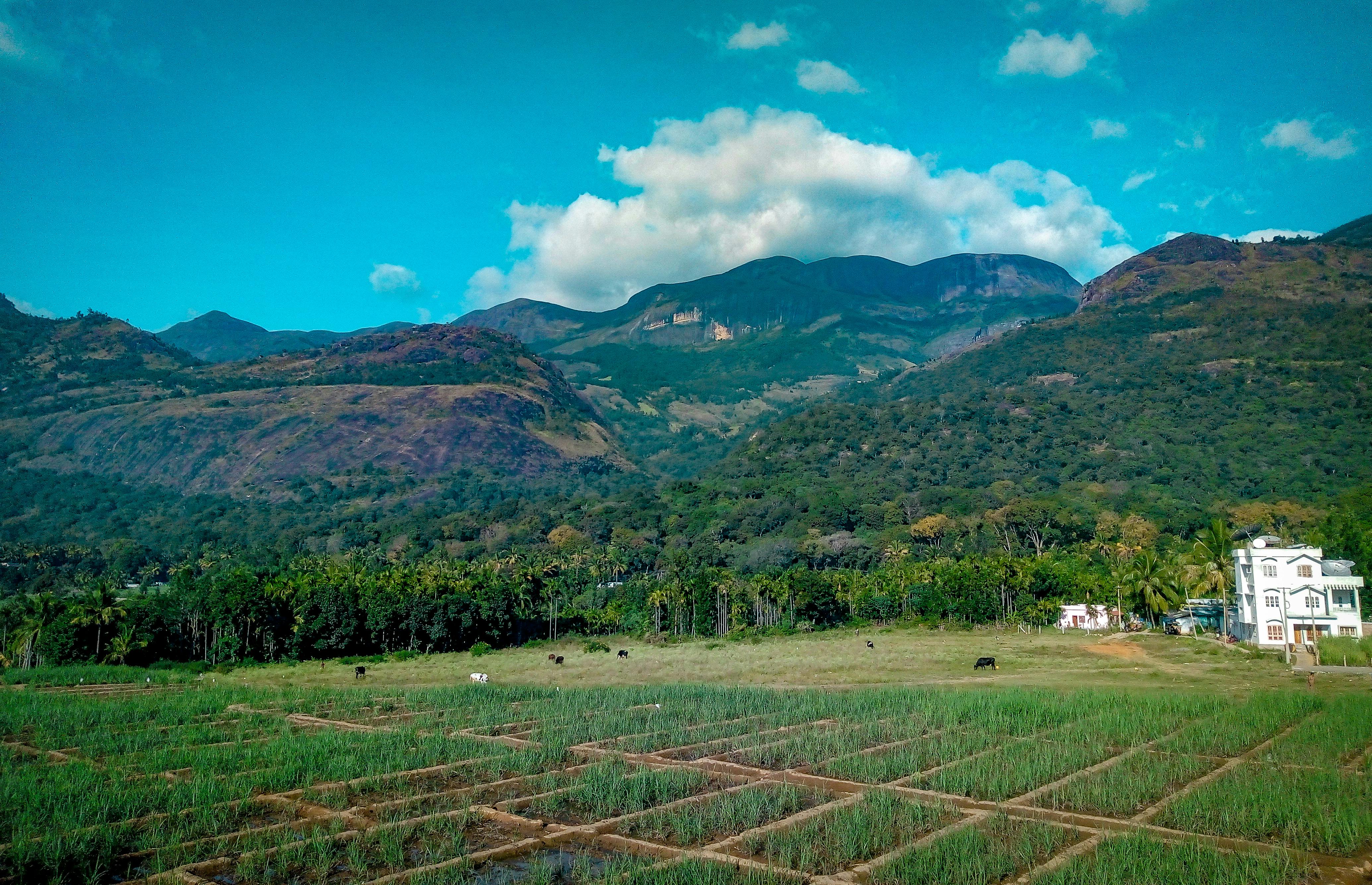 Kerala